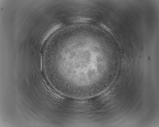 X0000054391219200508011244