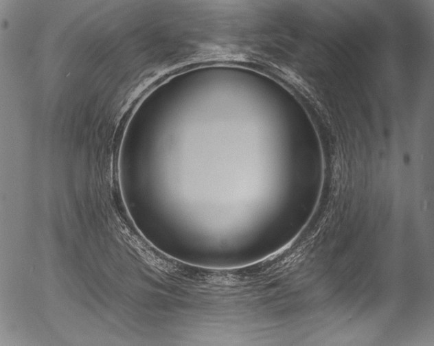 X0000054391220200508011244