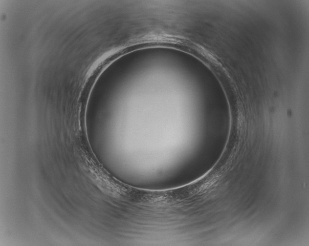 X0000054391222200508011244