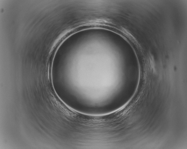 X0000054391224200508011244