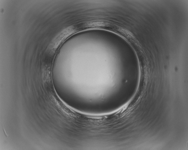 X0000054391225200508011244