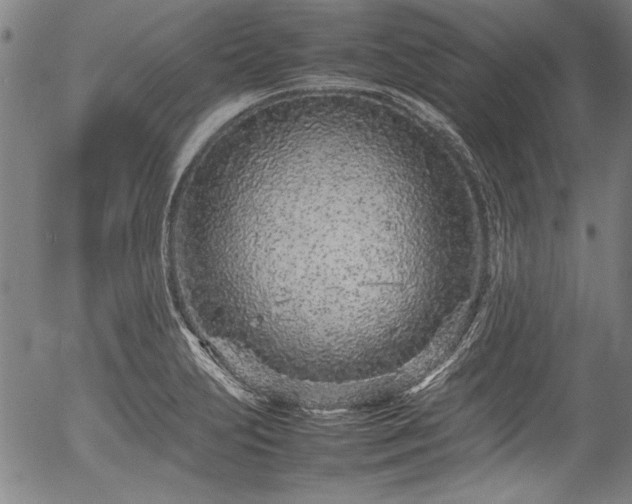 X0000054391231200508011244