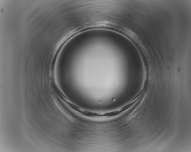 X0000054391234200508011244