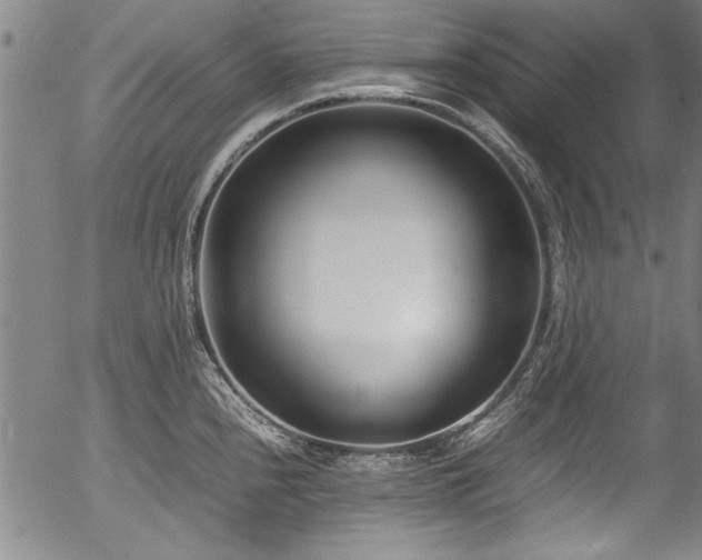 X0000054391240200508011245