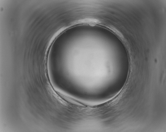 X0000054391248200508011245