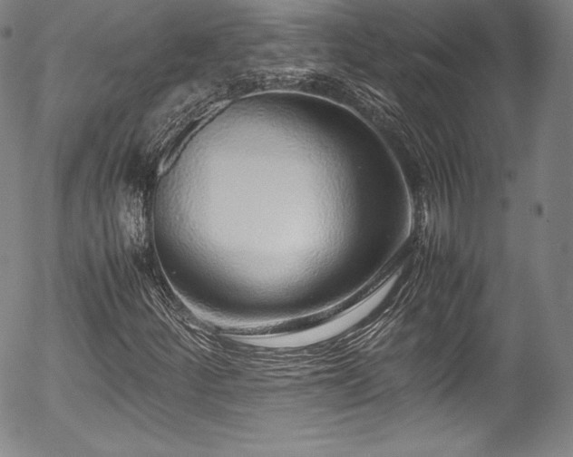 X0000054391252200508011244