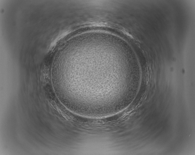 X0000054391255200508011244