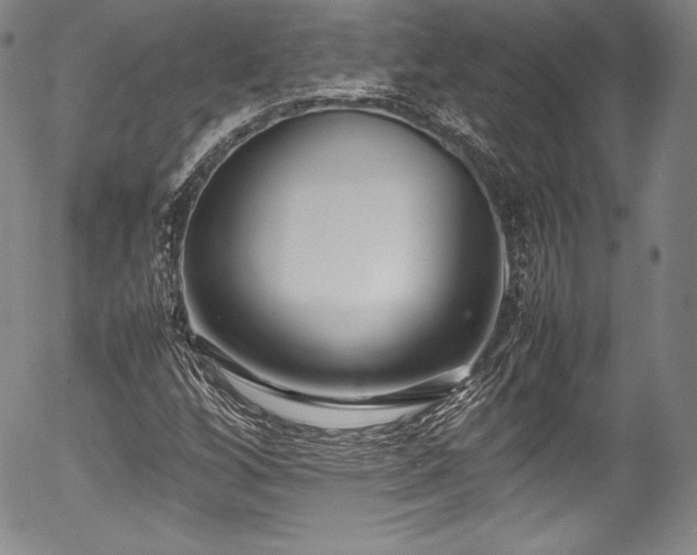 X0000054391256200508011244