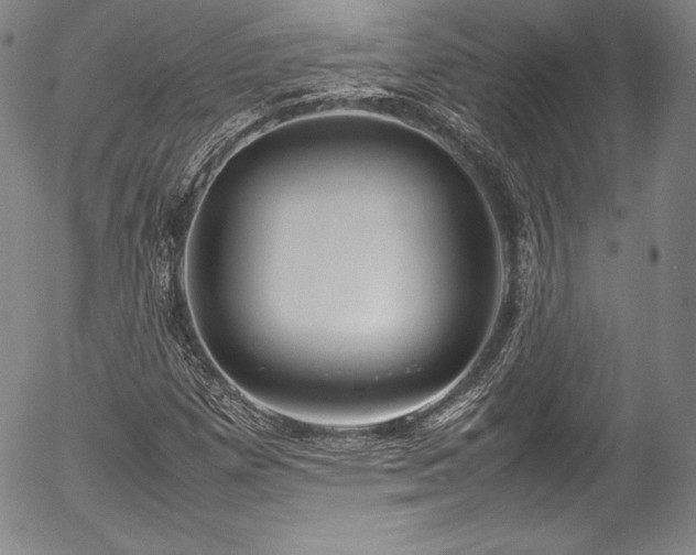 X0000054391257200508011244