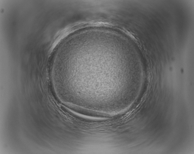 X0000054391263200508011244