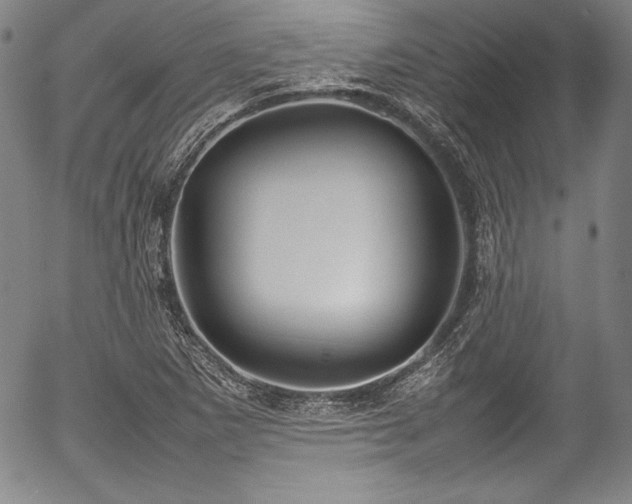 X0000054391265200508011244