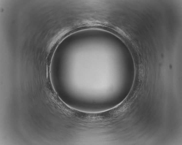 X0000054391269200508011244