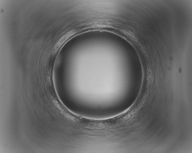 X0000054391273200508011243