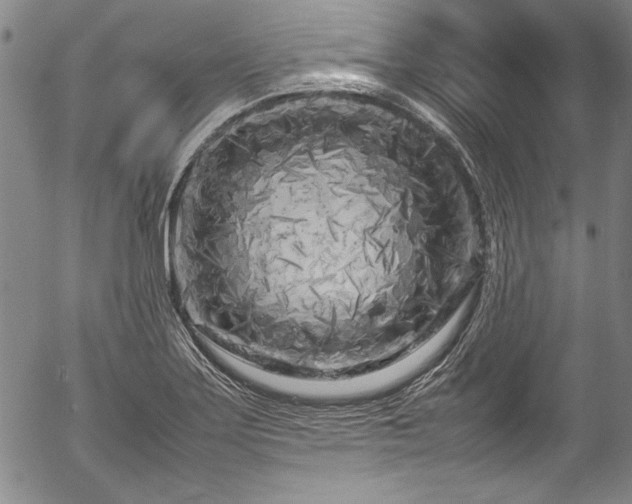 X0000054391275200508011243