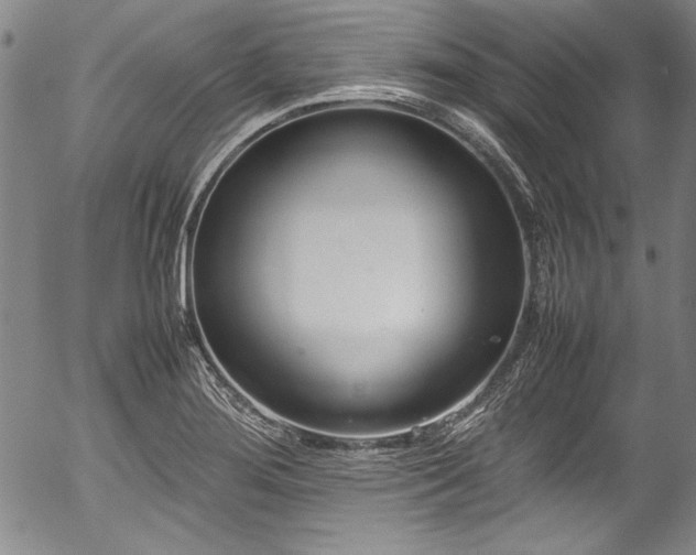 X0000054391276200508011243