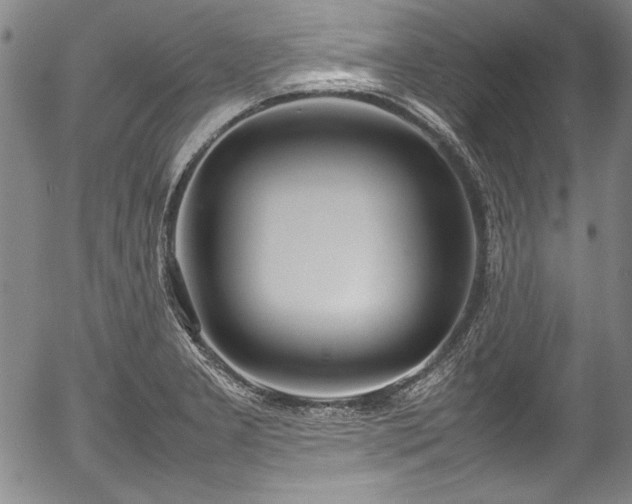 X0000054391277200508011243