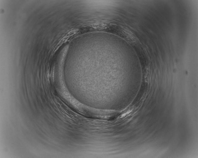 X0000054391298200508011242