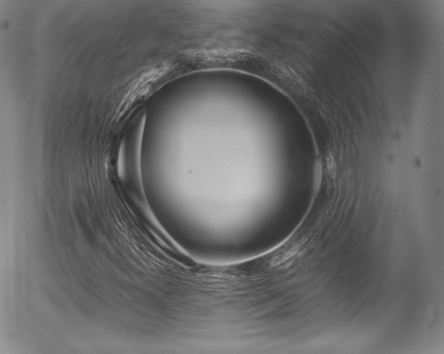 X0000054391300200508011242