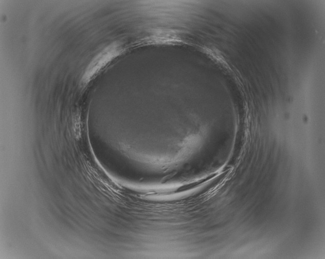 X0000054391306200508011242