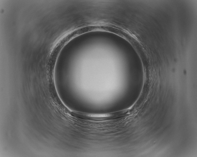 X0000054391311200508011242
