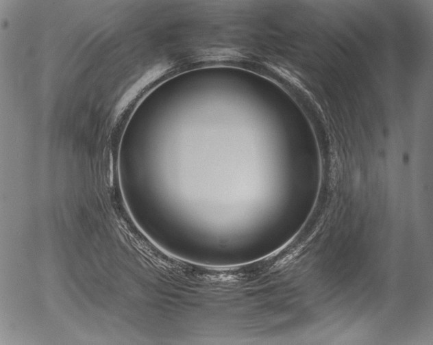 X0000054391317200508011243