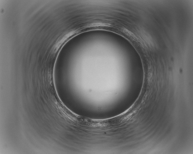 X0000054391321200508011243