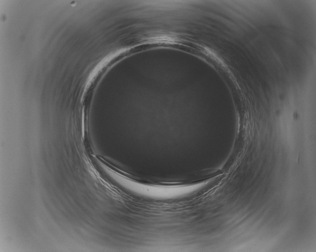 X0000054391323200508011243