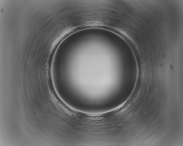 X0000054391325200508011243