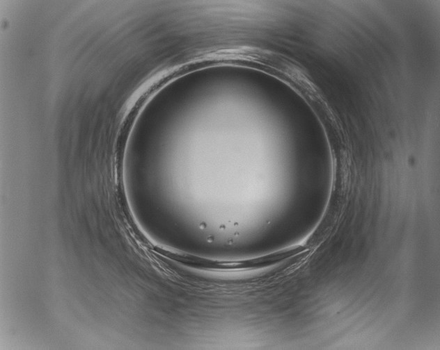 X0000054391328200508011243