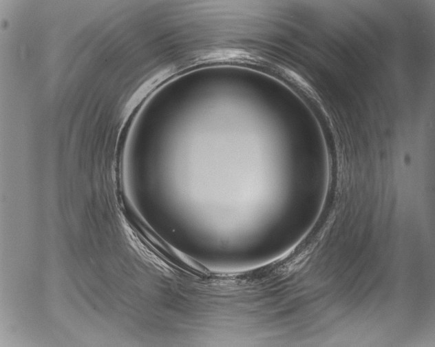 X0000054391330200508011243