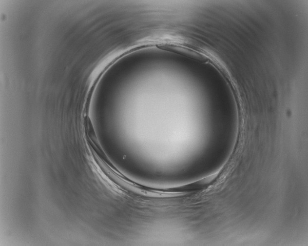 X0000054391344200508011243
