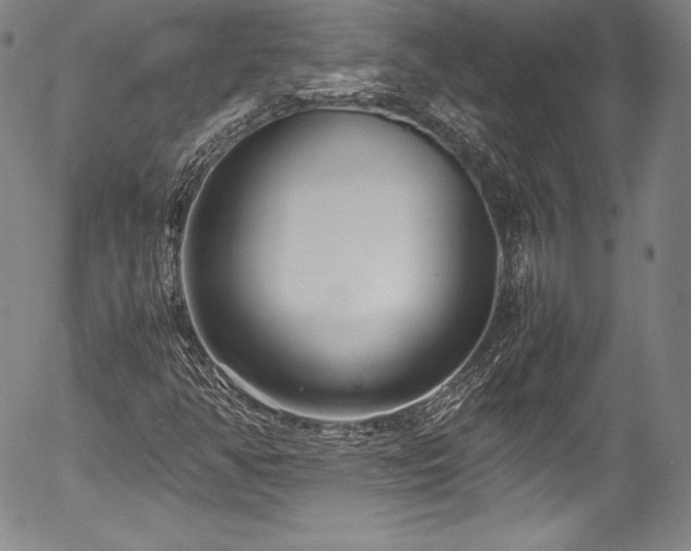 X0000054391350200508011242