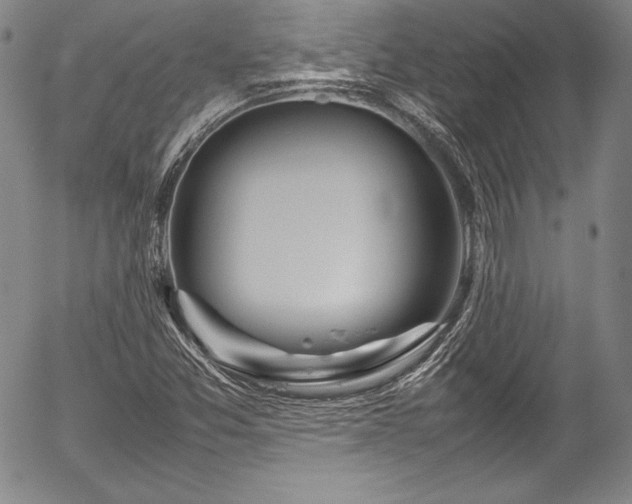 X0000054391357200508011242