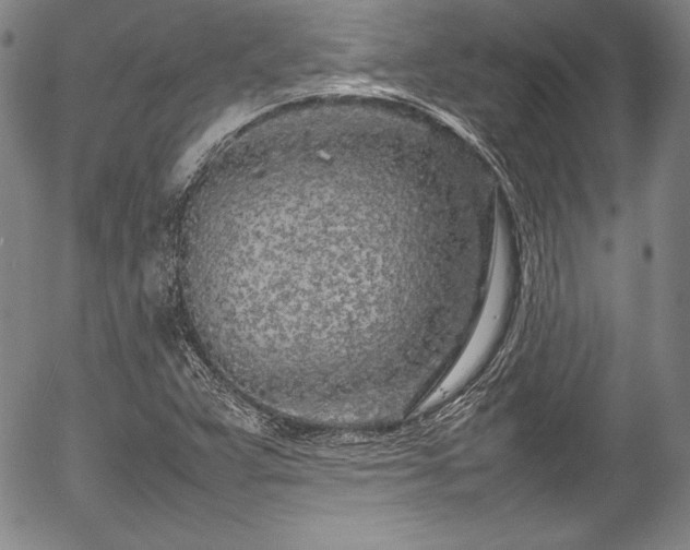 X0000054391359200508011242