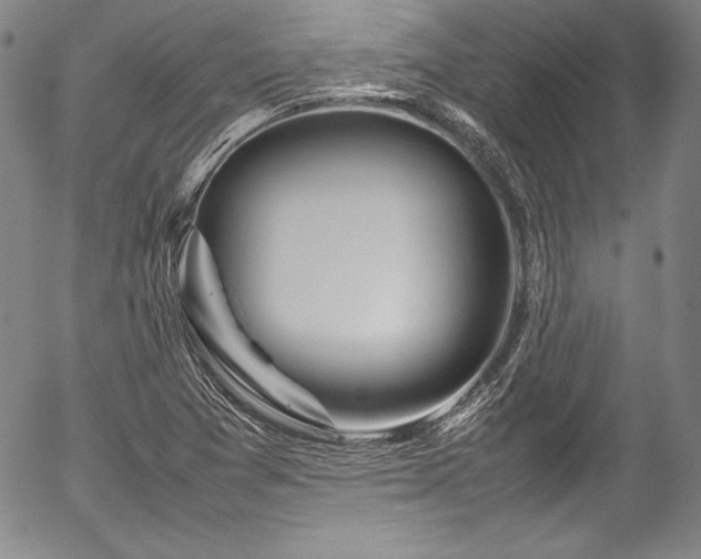 X0000054391361200508011242