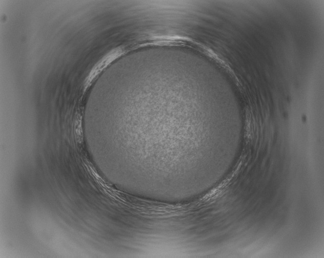X0000054391362200508011242