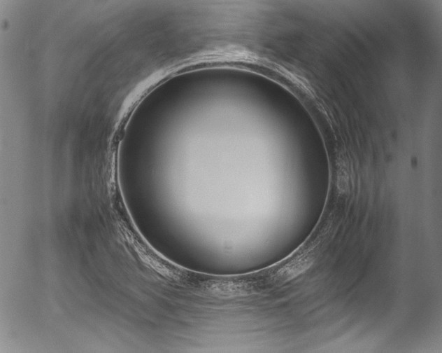 X0000054391366200508011242