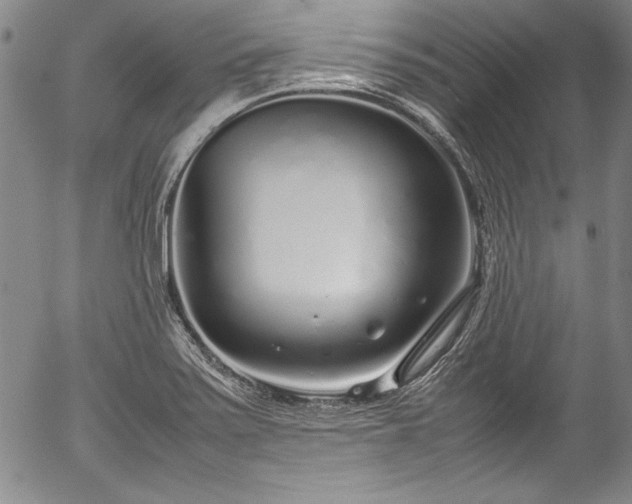 X0000054391371200508011242