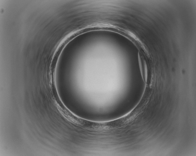 X0000054391372200508011242