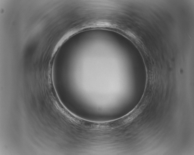 X0000054391374200508011242