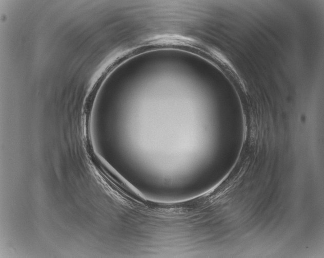 X0000054391376200508011242