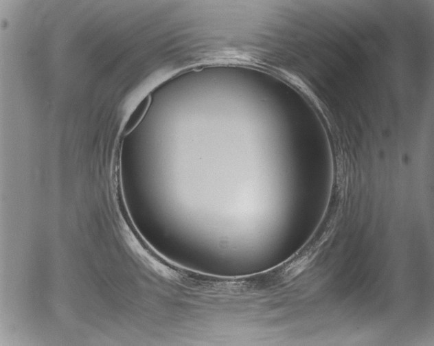 X0000054391387200508011242