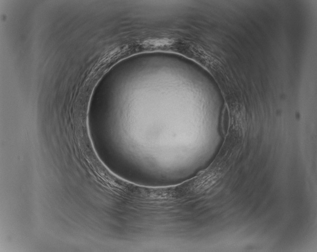 X0000054391393200508011241