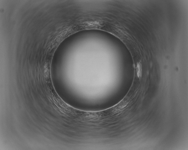 X0000054391395200508011241