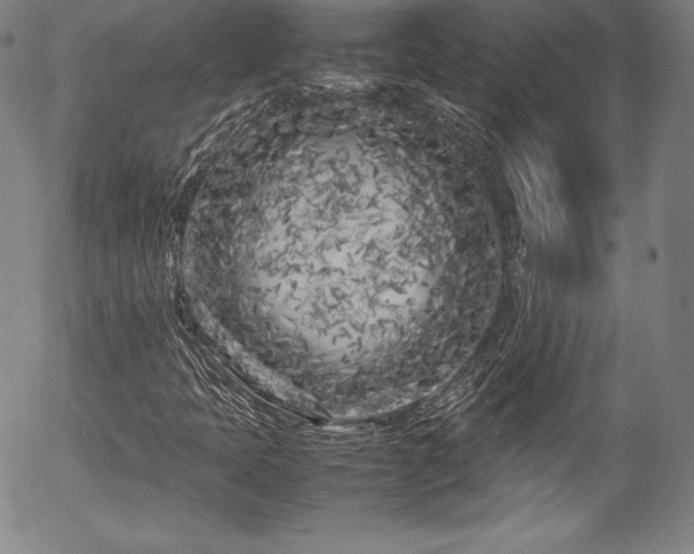 X0000054391397200508011241