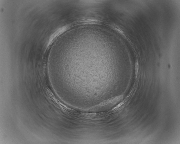 X0000054391405200508011241