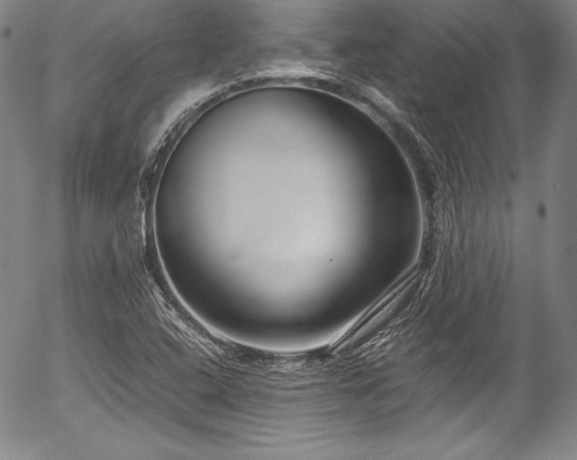 X0000054391408200508011241