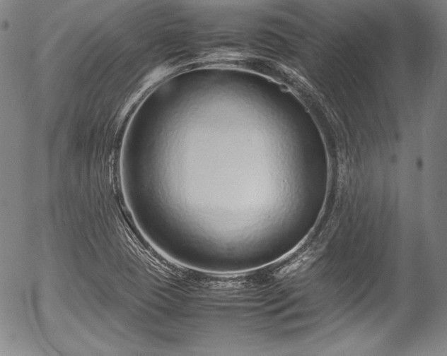 X0000054391409200508011241