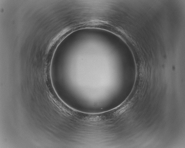 X0000054391410200508011241