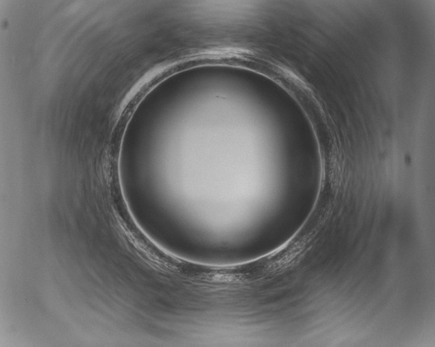 X0000054391412200508011241